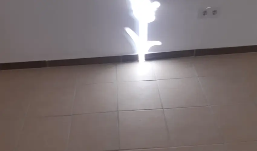 Tulip�nos Vend�gh�z �r - P�nk�sd