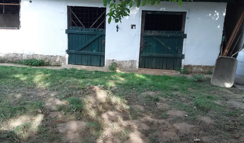 Tulip�nos Vend�gh�z �r - P�nk�sd