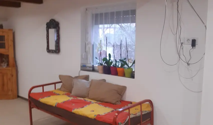 Tulip�nos Vend�gh�z �r - P�nk�sd