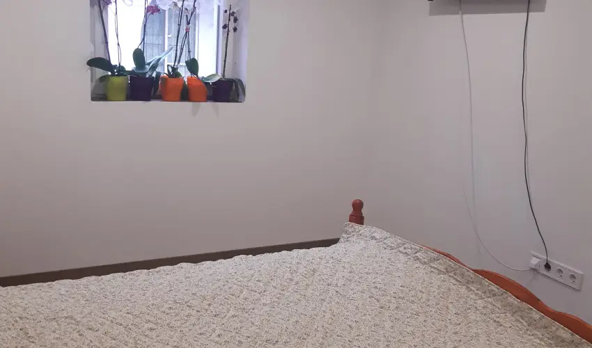 Tulip�nos Vend�gh�z �r - P�nk�sd