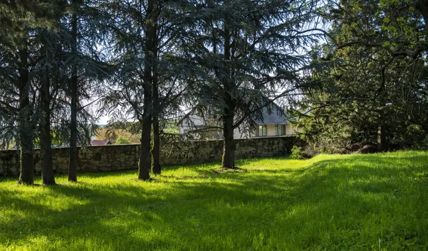 T�nd�rkert Hotel Noszvaj - P�nk�sd