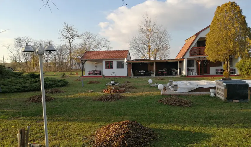 Turul Tanya  Mrahalom - Pnksd