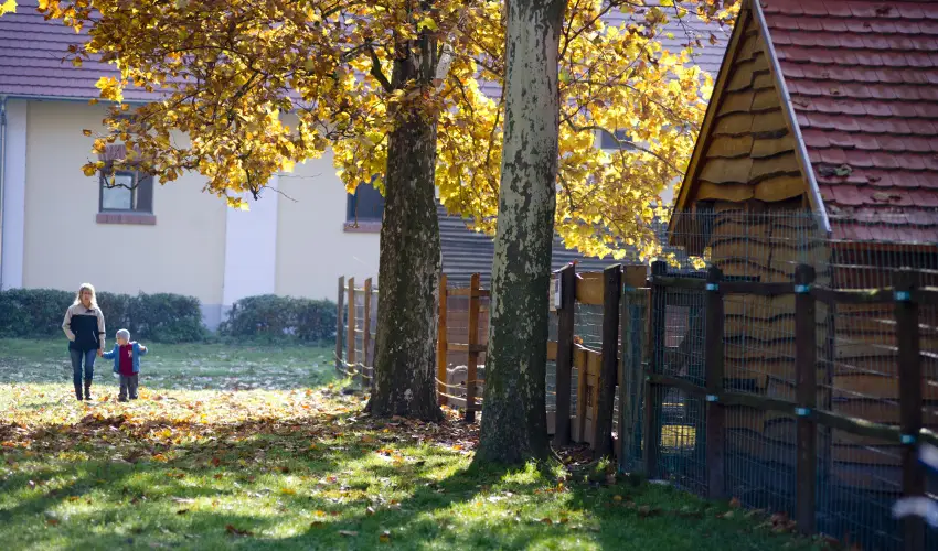 Vadkert Major Srvr - Pnksd