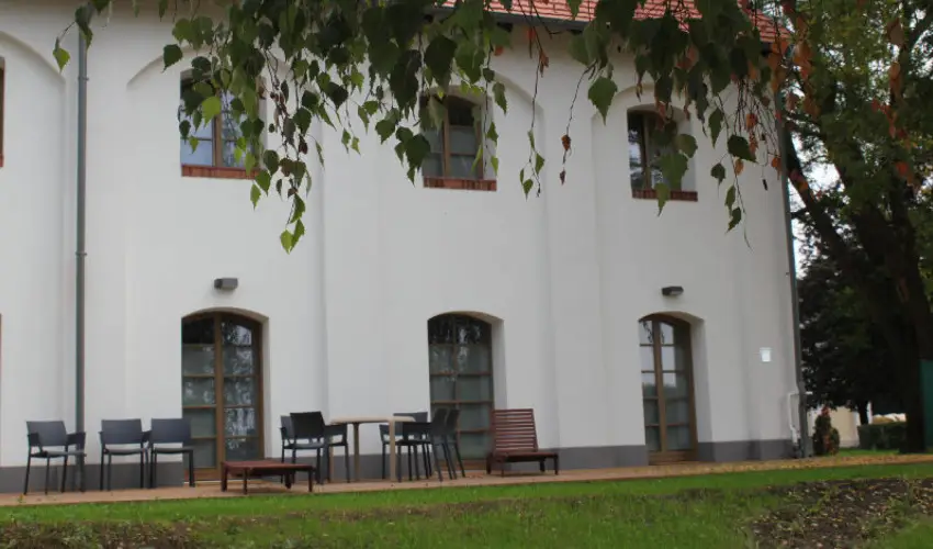 Vadkert Major Srvr - Pnksd