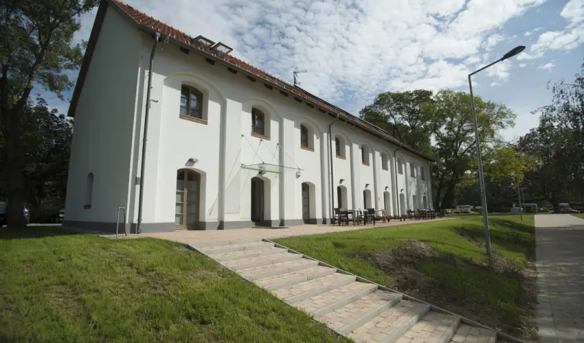 Vadkert Major Srvr - Pnksd