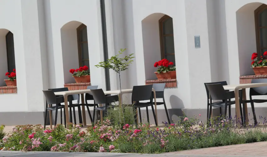 Vadkert Major Srvr - Pnksd