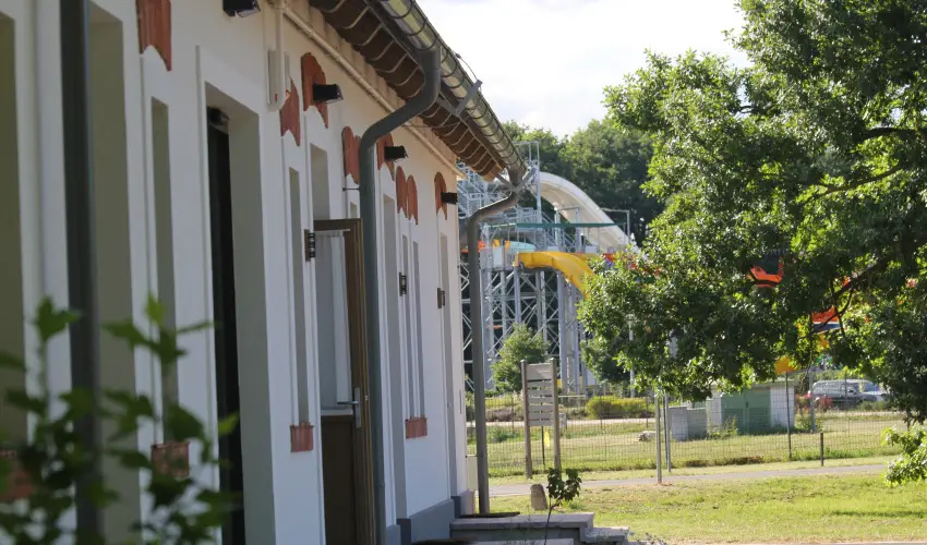 Vadkert Major Srvr - Pnksd