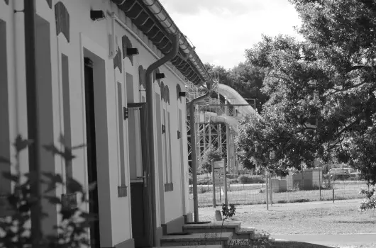 Vadkert Major - Pnksd