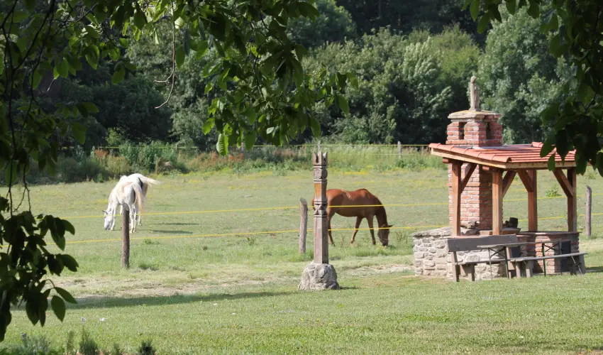 Vadkert Major Srvr - Pnksd