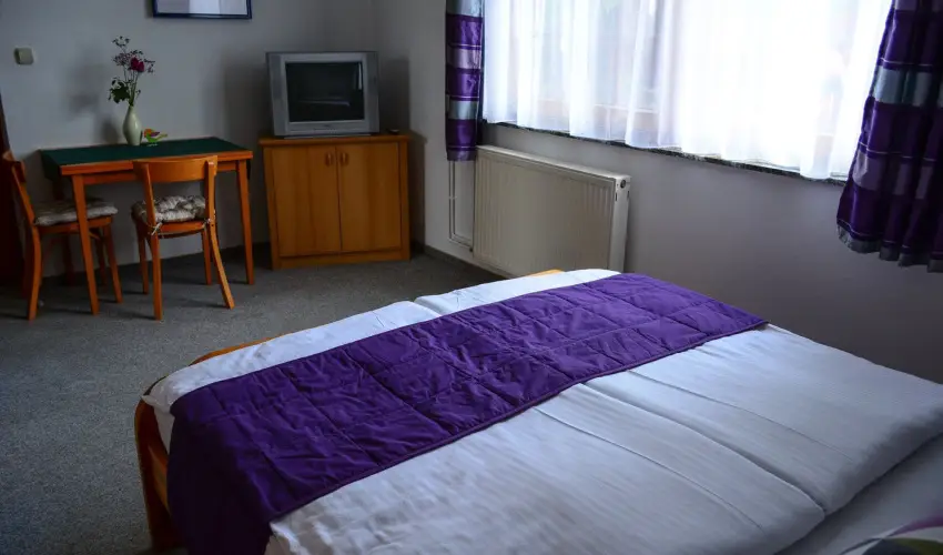 Vadr�zsa Vend�gh�z Szentendre - P�nk�sd (min. 2 �j)