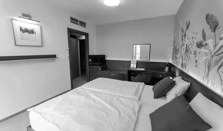 Vadvir�g Panzi� �gfalva - P�nk�sd 