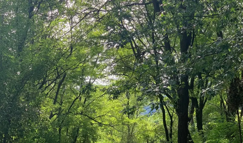 Vr Camping Sirok - Pnksd