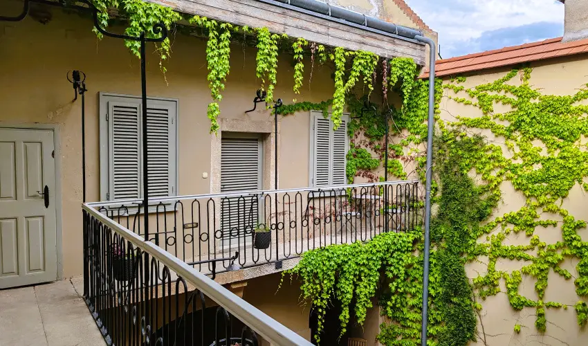 V�rosi Vend�gh�z Szentendre Szentendre - P�nk�sd