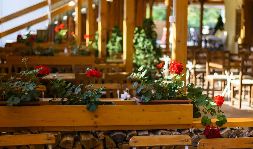 Viktor Bor- s Vendghz Balatonmriafrd - Pnksd 