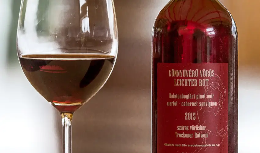 Viktor Bor- s Vendghz Balatonmriafrd - Pnksd 