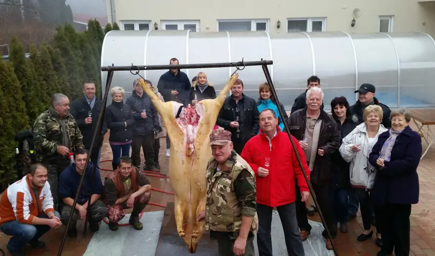 Viktor Bor- s Vendghz Balatonmriafrd - Pnksd 