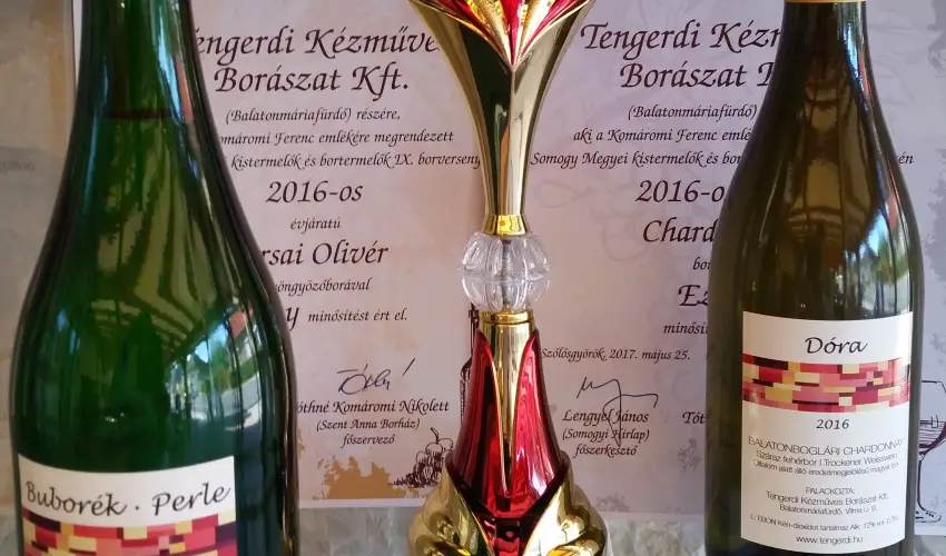 Viktor Bor- s Vendghz Balatonmriafrd - Pnksd 