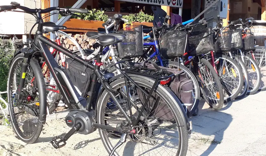 Viktor Bor- s Vendghz Balatonmriafrd - Pnksd 