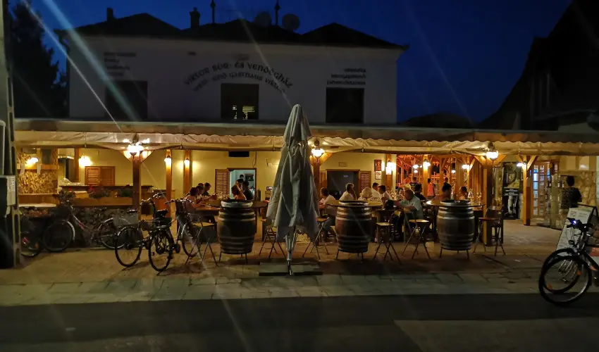 Viktor Bor- s Vendghz Balatonmriafrd - Pnksd 