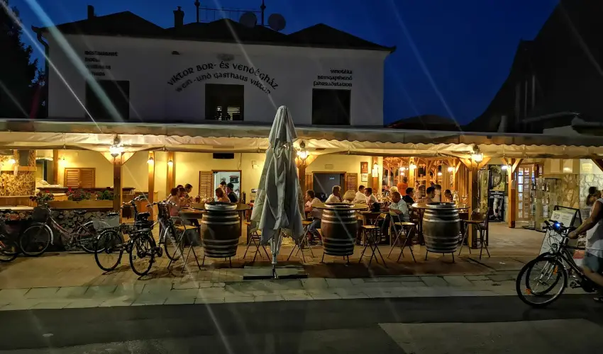 Viktor Bor- s Vendghz Balatonmriafrd - Pnksd 