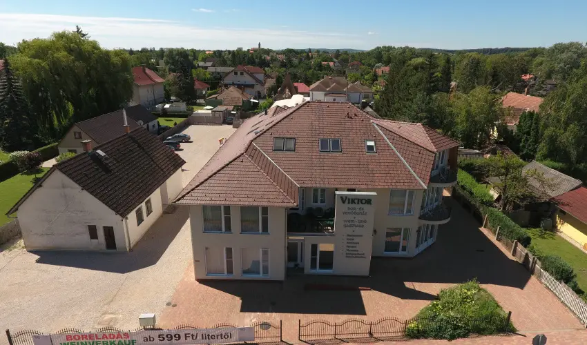 Viktor Bor- s Vendghz Balatonmriafrd - Pnksd 