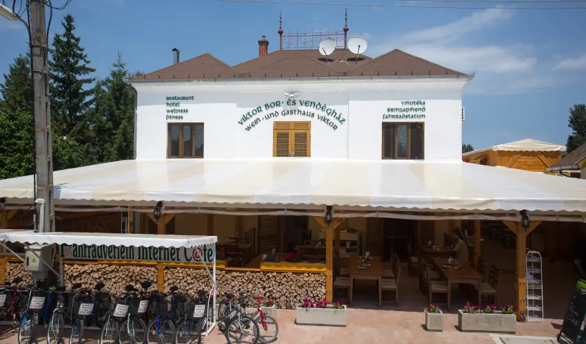 Viktor Bor- s Vendghz Balatonmriafrd - Pnksd 