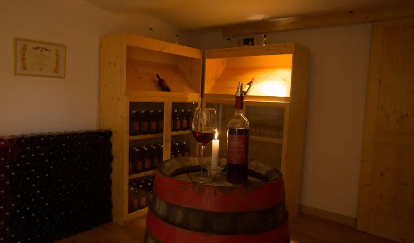 Viktor Bor- s Vendghz Balatonmriafrd - Pnksd 