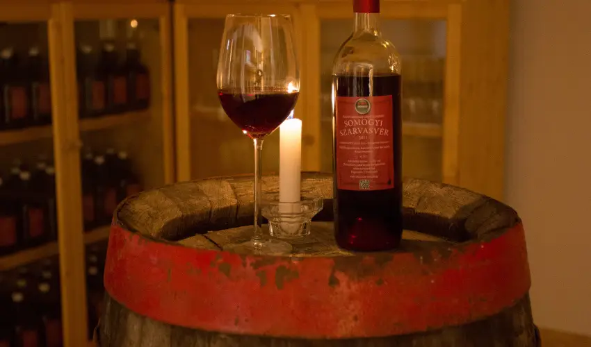 Viktor Bor- s Vendghz Balatonmriafrd - Pnksd 