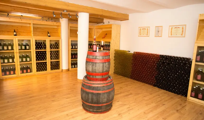 Viktor Bor- s Vendghz Balatonmriafrd - Pnksd 