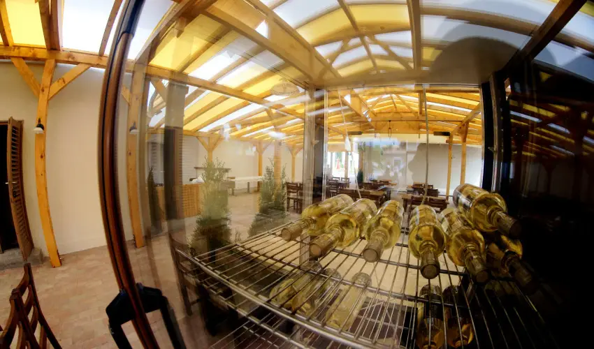 Viktor Bor- s Vendghz Balatonmriafrd - Pnksd 