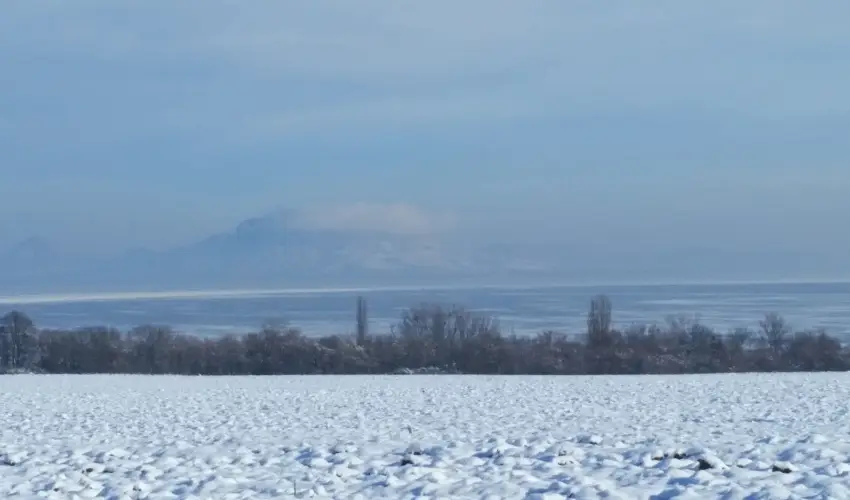 Viktor Bor- s Vendghz Balatonmriafrd - Pnksd 