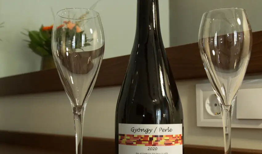 Viktor Bor- s Vendghz Balatonmriafrd - Pnksd 