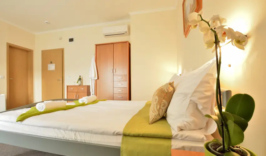 Wellness Hotel Viktria Nagyatd - Pnksd