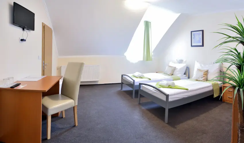 Wellness Hotel Viktria Nagyatd - Pnksd