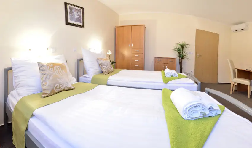 Wellness Hotel Viktria Nagyatd - Pnksd