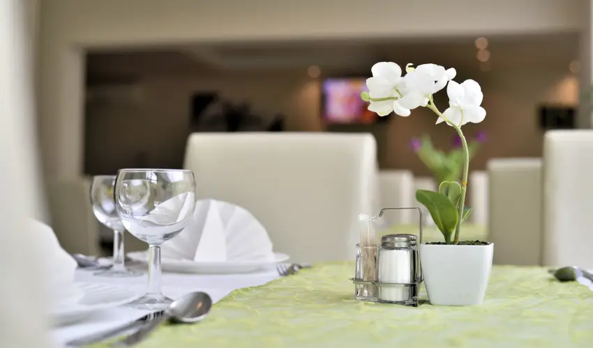 Wellness Hotel Viktria Nagyatd - Pnksd