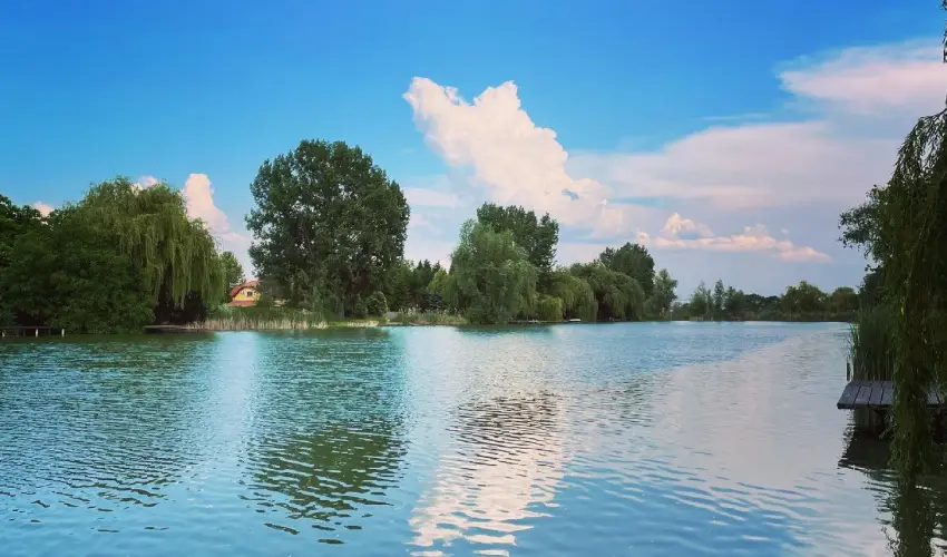 Vir�g �d�l�h�z Szarvas - P�nk�sd