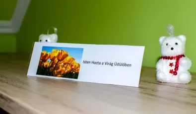 Vir�g �d�l�h�z Szarvas