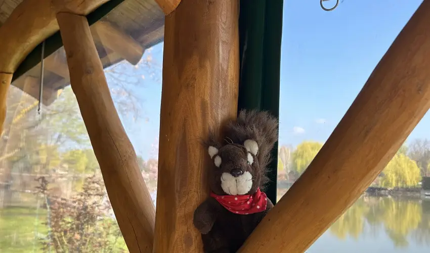 Vir�g �d�l�h�z Szarvas - P�nk�sd