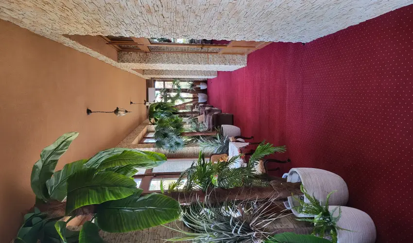 Vrs lom Apartman Panzi Tiszakcske Tiszakcske - Pnksd