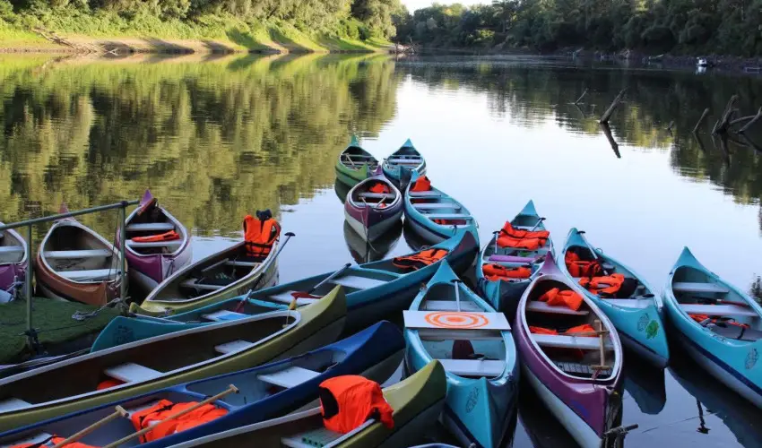 Vrs lom Apartman Panzi Tiszakcske Tiszakcske - Pnksd