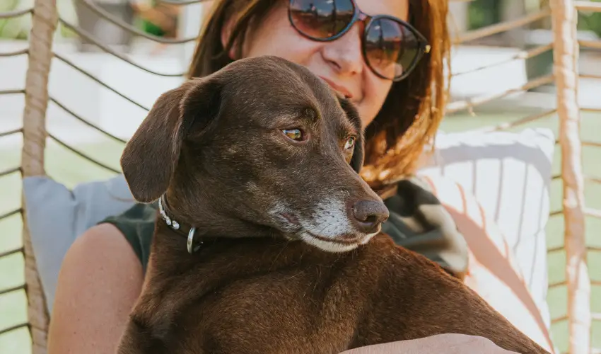 Wabi Hotel Sopron - Pnksd