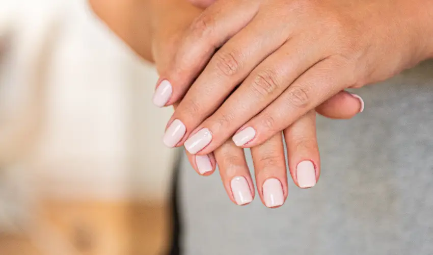 Wabi Hotel Sopron - Pnksd