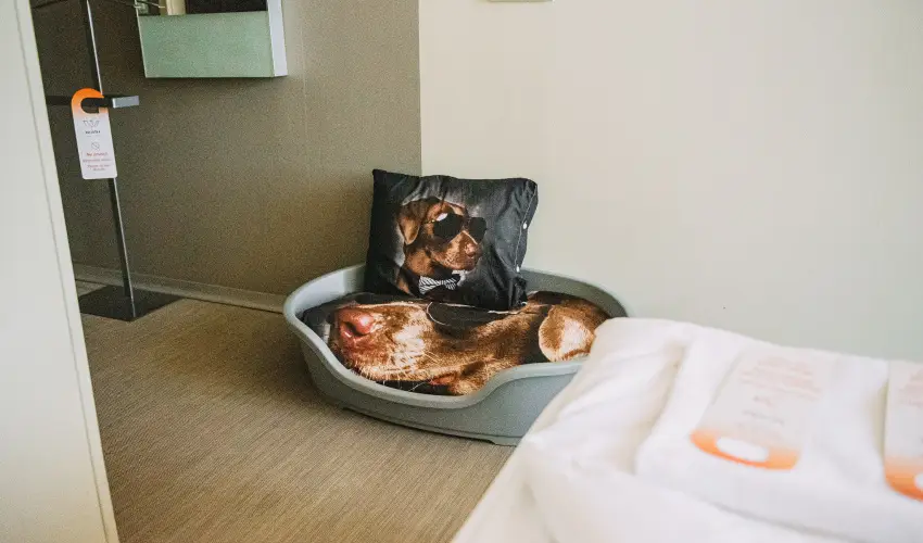 Wabi Hotel Sopron - Pnksd