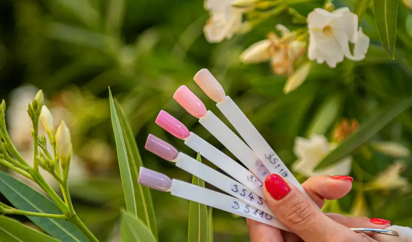 Wabi Hotel Sopron - Pnksd