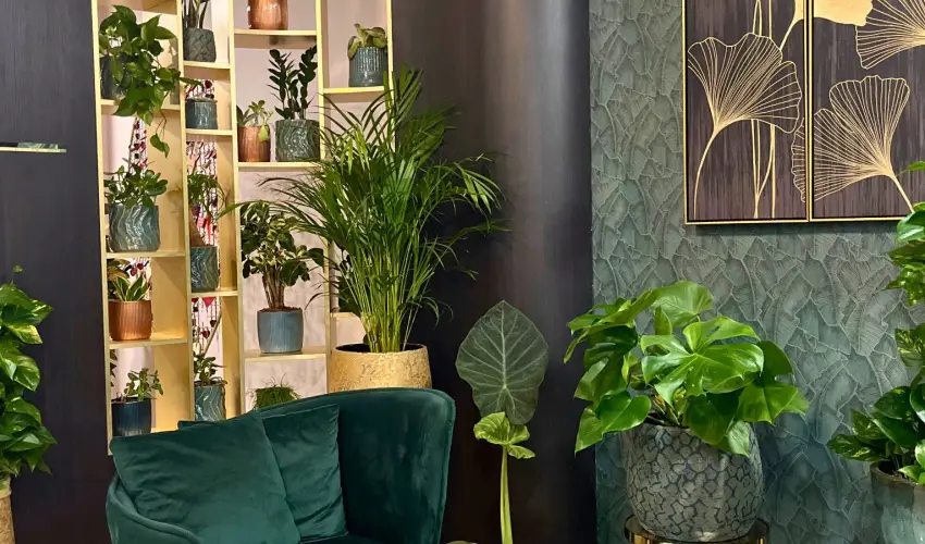 Hotel Wellamarin Zamrdi - WELLARosa (min. 2 j)