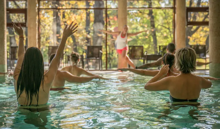 Wellness Hotel Gyula Gyula - Pnksd (min. 2 j)