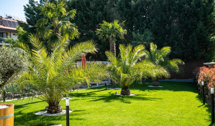 Wellness Hotel Gyula Gyula - P�nk�sd (min. 3 �j)