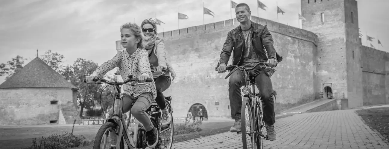 Wellness Hotel Gyula Gyula - Pnksd (min. 2 j)