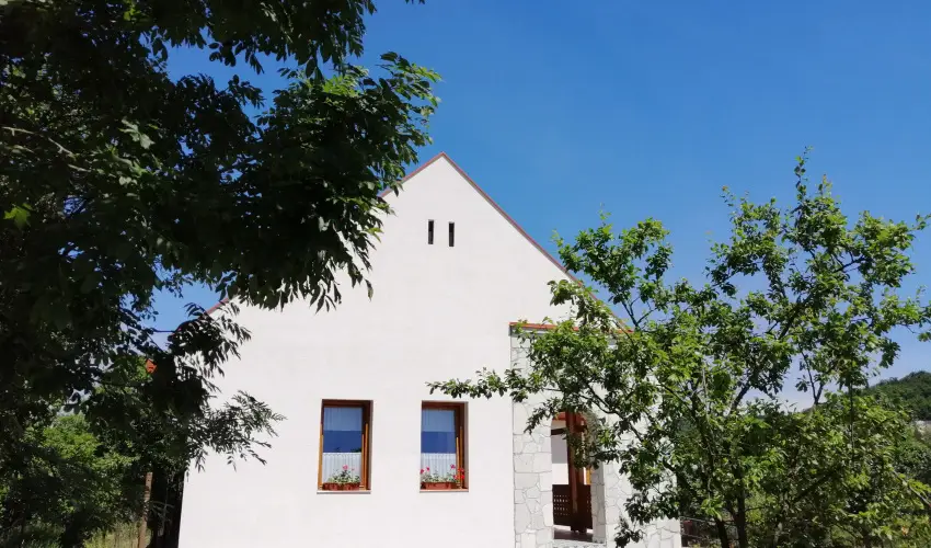 Zempl�ni T�nd�rkert Vend�gh�z F�z�rkoml�s - P�nk�sd (min. 2 �j)